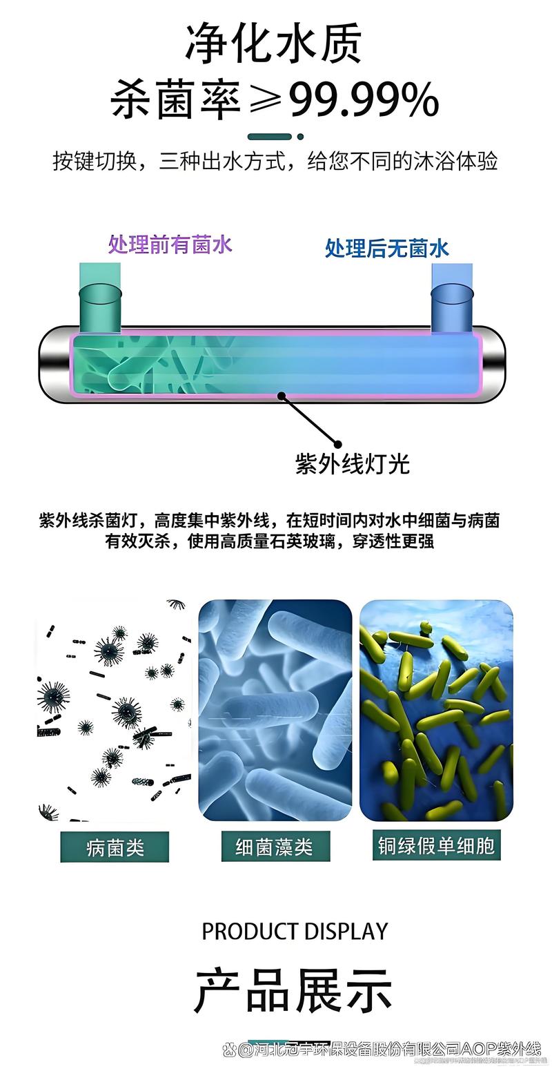 家庭白蚁防治选购指南