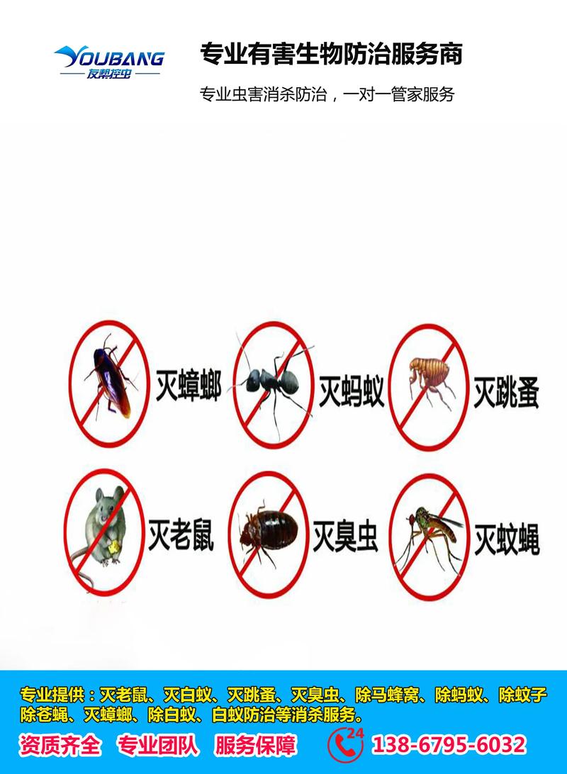 仓库灭鼠