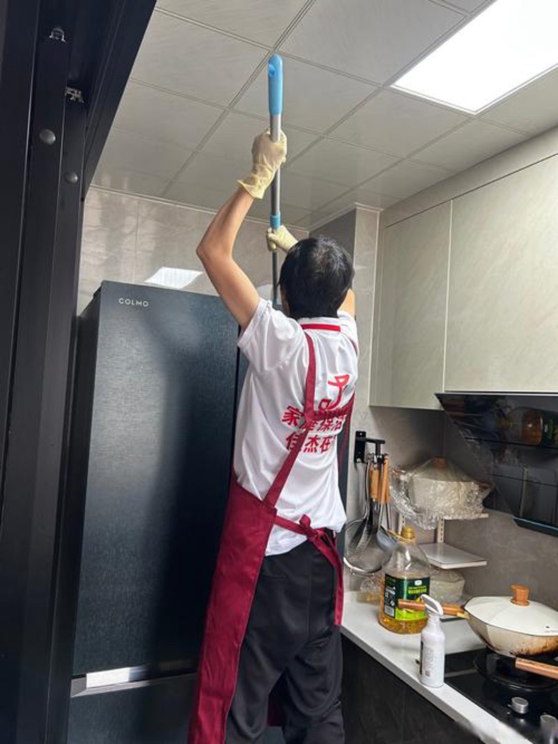 白蚁防治：守护家园的隐形卫士