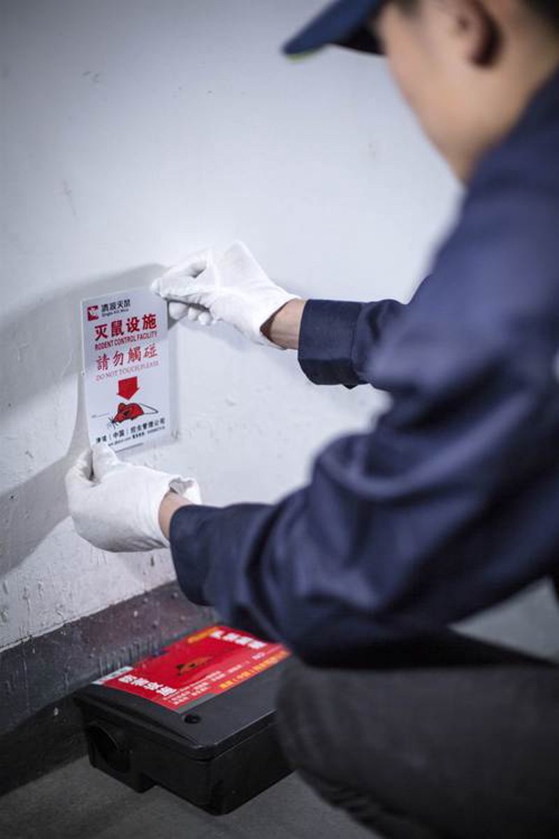 环境整治与除四害：改善我们共同的生活质量