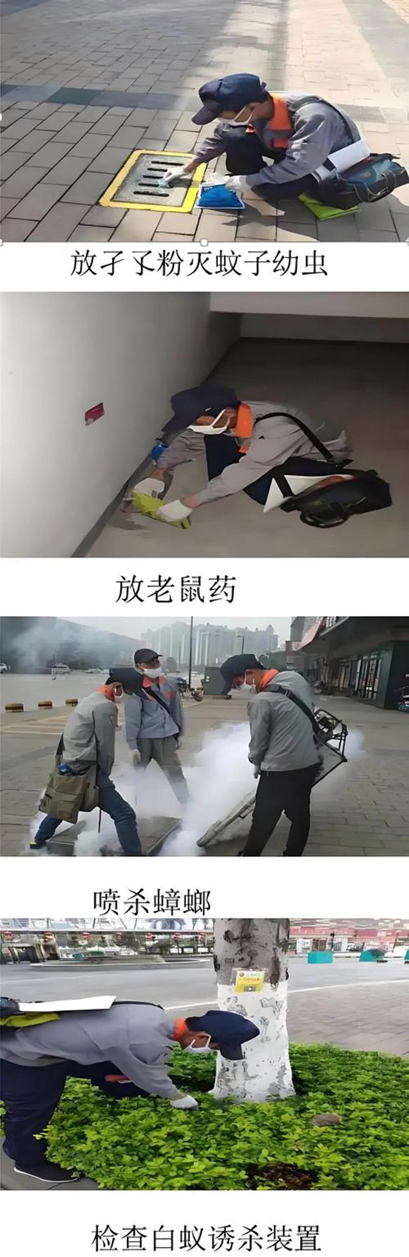 如何挑选一家靠谱的深圳消杀公司